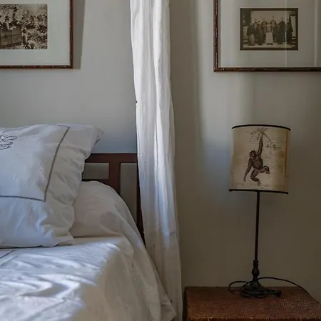 Haussmanimes - Elegance Au Coeur De Appartement